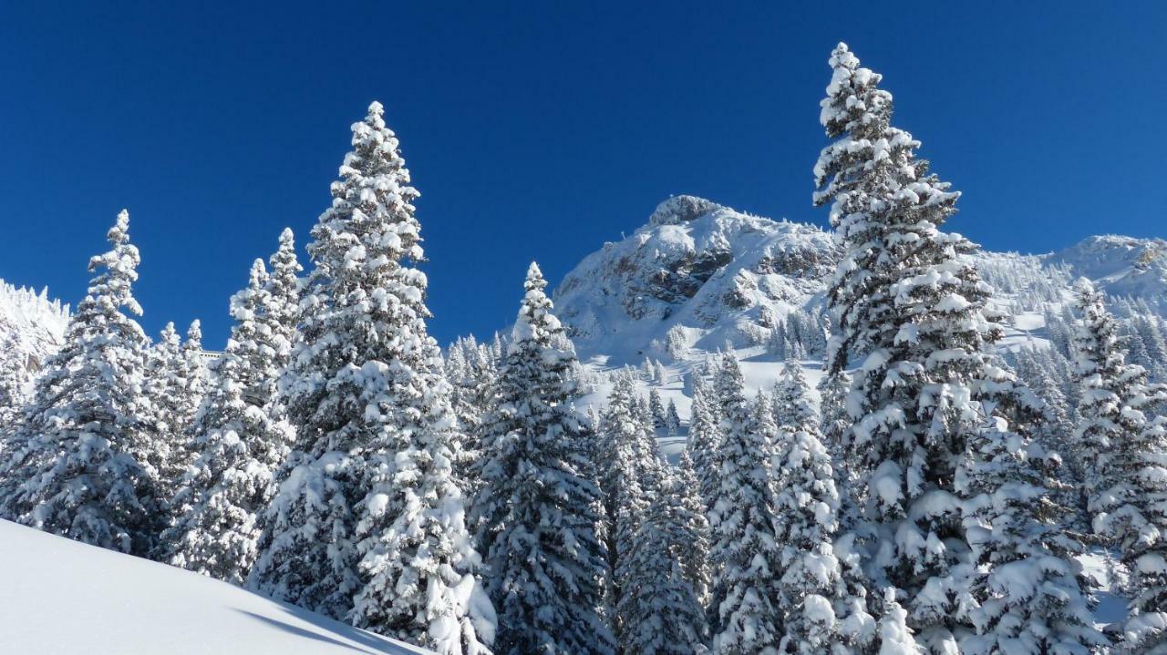 Am Gehren - Arlberg Appartements Warth  Zewnętrze zdjęcie